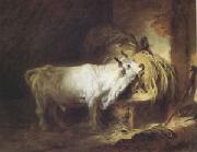 Jean Honore Fragonard The White Bull (mk05) china oil painting reproduction